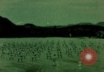 Image of Republic of Korea troops Vietnam Korea, 1965, second 39 stock footage video 65675078905