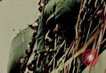 Image of Republic of Korea troops Vietnam Korea, 1965, second 62 stock footage video 65675078905