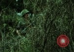 Image of soldiers patrolling Korean DMZ Korea, 1969, second 53 stock footage video 65675078907