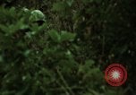 Image of soldiers patrolling Korean DMZ Korea, 1969, second 61 stock footage video 65675078907
