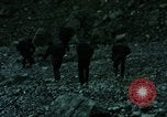 Image of North Korean night attacks Korea, 1969, second 14 stock footage video 65675078908