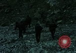 Image of North Korean night attacks Korea, 1969, second 15 stock footage video 65675078908