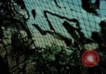 Image of North Korean night attacks Korea, 1969, second 47 stock footage video 65675078908
