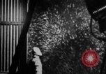 Image of The Great Blizzard of 1947 New York New York City USA, 1947, second 51 stock footage video 65675078923
