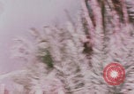 Image of Iraq attacks Iran Iran, 1980, second 39 stock footage video 65675078925
