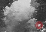 Standbild Die deutschen Truppen in der Nähe der Schweizer Grenze zurückziehen Deutschland, 1944, aus Sekunde 44 historischem Filmmaterial Videoclip 65675078936