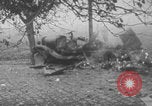 Image of German forces entering Hungary in World War 2 Hungary, 1944, second 39 stock footage video 65675078939