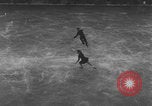 Image Patineurs effectuer dans un spectacle sur glace Berlin Allemagne, 1945, de la seconde 23 séquences d'archives historiques vidéo 65675078942
