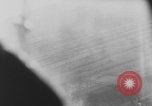Standbild Deutschen Junkers Ju 87 Flugzeuge strafing sowjetische Panzer Ungarn, 1944, aus Sekunde 22 historischem Filmmaterial Videoclip 65675078943