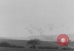 Standbild Schlacht in den Ardennen im Zweiten Weltkrieg Deutschland, 1944, aus Sekunde 39 historischem Filmmaterial Videoclip 65675078944