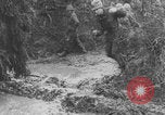 Standbild Feldmarschall Walter Model Deutschland, 1944, aus Sekunde 38 historischem Filmmaterial Videoclip 65675078946