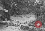 Standbild Feldmarschall Walter Model Deutschland, 1944, aus Sekunde 39 historischem Filmmaterial Videoclip 65675078946