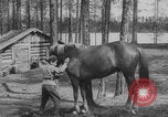 Standbild Deutsche Infanterie und liefert durch Binnenschiffe Deutschland, 1942, aus Sekunde 35 historischem Filmmaterial Videoclip 65675078948