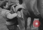 Standbild Deutsche Infanterie und liefert durch Binnenschiffe Deutschland, 1942, aus Sekunde 44 historischem Filmmaterial Videoclip 65675078948