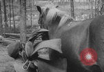 Standbild Deutsche Infanterie und liefert durch Binnenschiffe Deutschland, 1942, aus Sekunde 45 historischem Filmmaterial Videoclip 65675078948