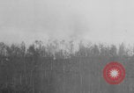 Standbild Deutsche Artilleristen Deutschland, 1942, aus Sekunde 31 historischem Filmmaterial Videoclip 65675078949