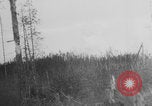 Standbild Deutsche Artilleristen Deutschland, 1942, aus Sekunde 38 historischem Filmmaterial Videoclip 65675078949