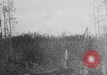 Standbild Deutsche Artilleristen Deutschland, 1942, aus Sekunde 41 historischem Filmmaterial Videoclip 65675078949