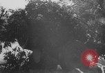 Standbild Deutsche SS (Schutzstaffel) mit dem Tod (Totenkopf) Insignia Frankreich, 1944, aus Sekunde 48 historischem Filmmaterial Videoclip 65675078952