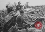 Standbild Deutscher Panther-Panzer Frankreich, 1944, aus Sekunde 5 historischem Filmmaterial Videoclip 65675078953