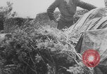 Standbild Deutscher Panther-Panzer Frankreich, 1944, aus Sekunde 8 historischem Filmmaterial Videoclip 65675078953