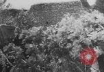 Standbild Deutscher Panther-Panzer Frankreich, 1944, aus Sekunde 9 historischem Filmmaterial Videoclip 65675078953