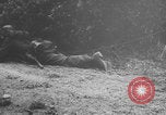 Standbild Deutscher Panther-Panzer Frankreich, 1944, aus Sekunde 46 historischem Filmmaterial Videoclip 65675078953