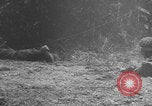 Standbild Deutscher Panther-Panzer Frankreich, 1944, aus Sekunde 47 historischem Filmmaterial Videoclip 65675078953