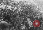 Standbild Deutscher Panther-Panzer Frankreich, 1944, aus Sekunde 62 historischem Filmmaterial Videoclip 65675078953