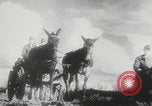 Image of Soviet slave laborers building bunkers Leningrad Russia Soviet Union, 1943, second 32 stock footage video 65675078959