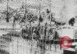 Image of Soviet slave laborers building bunkers Leningrad Russia Soviet Union, 1943, second 54 stock footage video 65675078959