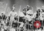 Image of Soviet slave laborers building bunkers Leningrad Russia Soviet Union, 1943, second 56 stock footage video 65675078959
