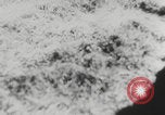 Immagine di Luftwaffe tedesca Unione Sovietica, 1943, secondo 41 filmato di repertorio 65675078960