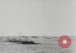 Immagine di Luftwaffe tedesca Unione Sovietica, 1943, secondo 50 filmato di repertorio 65675078960