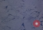 Standbild RB-50 Aufklärungsflugzeug fliegen Keflavik Reykjanes Island, 1956, aus Sekunde 49 historischem Filmmaterial Videoclip 65675078963