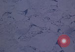 Standbild RB-50 Aufklärungsflugzeug fliegen Keflavik Reykjanes Island, 1956, aus Sekunde 53 historischem Filmmaterial Videoclip 65675078963