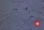 Standbild RB-50 Aufklärungsflugzeug fliegen Keflavik Reykjanes Island, 1956, aus Sekunde 58 historischem Filmmaterial Videoclip 65675078963