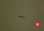 Standbild Naval Air Station Keflavik Keflavik Island, 1956, aus Sekunde 48 historischem Filmmaterial Videoclip 65675078965