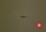 Standbild Naval Air Station Keflavik Keflavik Island, 1956, aus Sekunde 54 historischem Filmmaterial Videoclip 65675078965