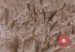 Standbild Abilene Texas Abilene Texas USA, 1985, aus Sekunde 56 historischem Filmmaterial Videoclip 65675078977