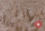 Standbild Abilene Texas Abilene Texas USA, 1985, aus Sekunde 57 historischem Filmmaterial Videoclip 65675078977