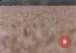 Standbild Abilene Texas Abilene Texas USA, 1985, aus Sekunde 58 historischem Filmmaterial Videoclip 65675078977