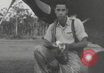 Image of United States Army Air Force 339th Fighter Squadron Pilots South Pacific Ocean, 1943, second 3 stock footage video 65675078985
