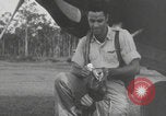 Image of United States Army Air Force 339th Fighter Squadron Pilots South Pacific Ocean, 1943, second 16 stock footage video 65675078985