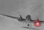 Image of Battle of Dunkirk Dunkirk France, 1940, second 47 stock footage video 65675078986
