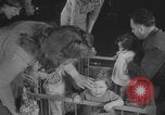Immagine di Guerra britannico Spose in Viaggio per gli Stati Uniti New York City USA, 1946, secondo 32 filmato di repertorio 65675078991