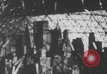 Image of Pittsburgh Gulf Tower Pittsburgh Pennsylvania USA, 1971, second 46 stock footage video 65675079013