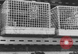 Image of Pittsburgh Gulf Tower Pittsburgh Pennsylvania USA, 1971, second 51 stock footage video 65675079013