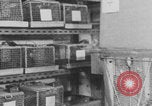 Image of Pittsburgh Gulf Tower Pittsburgh Pennsylvania USA, 1971, second 55 stock footage video 65675079013