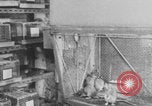 Image of Pittsburgh Gulf Tower Pittsburgh Pennsylvania USA, 1971, second 56 stock footage video 65675079013